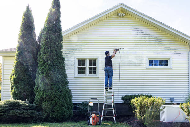 Best Residential Pressure Washing Services  in Vincent, AL